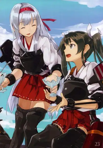 求一张舰娘大图··翔鹤和瑞鹤的