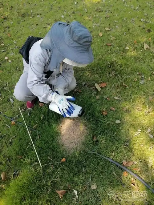 永安城管局消毒站做好红火蚁防制服务