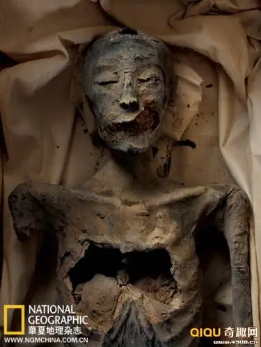 揭开埃及法老图坦卡蒙家族木乃伊身份之谜-科教台-中国网络电视台