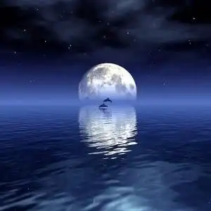 月亮头像图片大全高清唯美的微信月亮头像图片