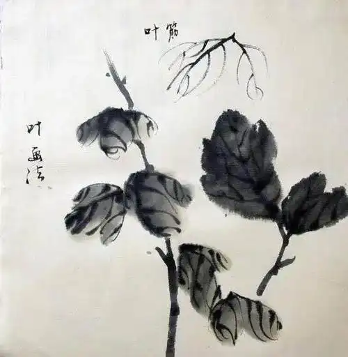 国画教程:简单几笔教你如何画好菊花叶