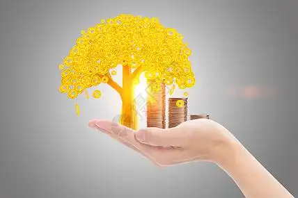 手掌中的财富图片素材