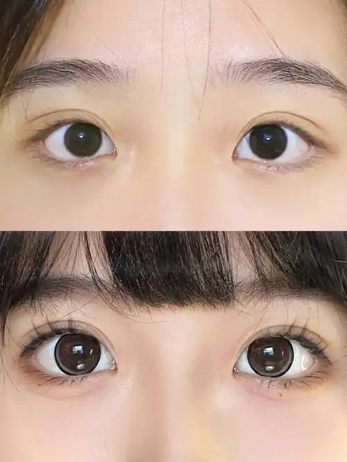 圆圆狗狗眼教程06