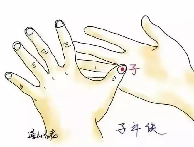 左,右两手的拇指分别搭在左右两手的"子","午"部位,故而为"子午诀"