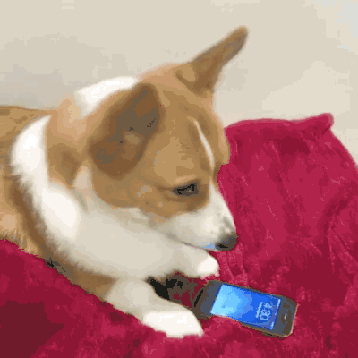 电量不足图片_电量不足动态图_电量不足表情包gif动图下载_soogif