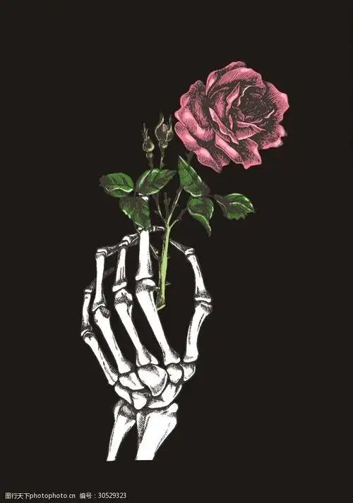 玫瑰花素材下载骷髅头矢量图下载