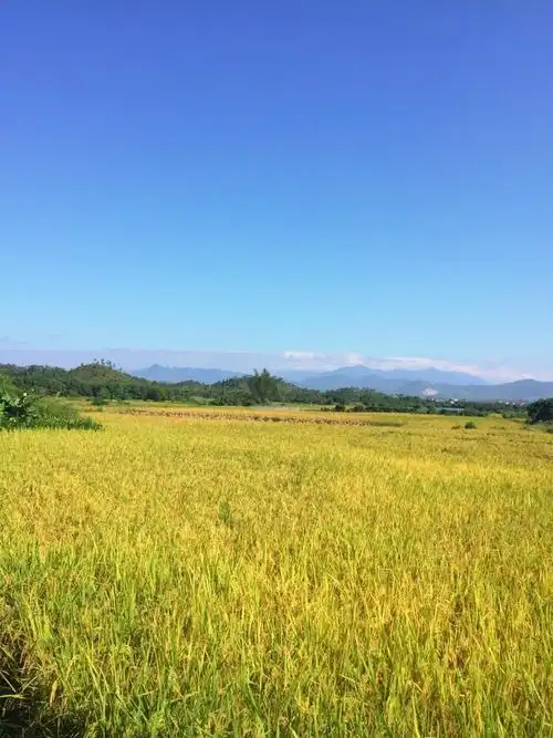 农村美丽的山水田园风光