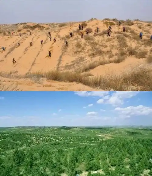 高分卫星视角看沙漠变绿洲毛乌素沙漠