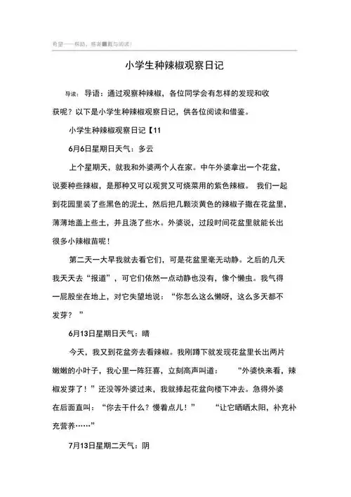 小学生种辣椒观察日记