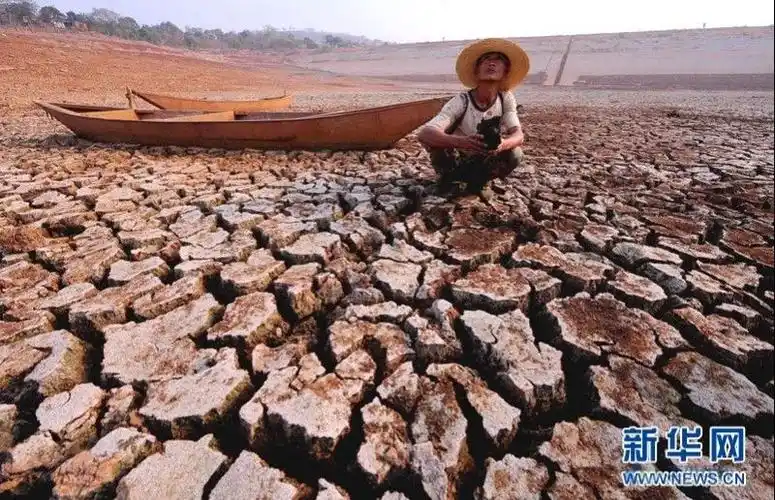 2010年灾难下的地球表情