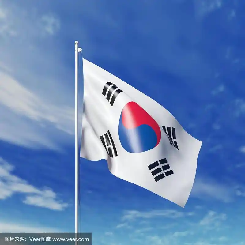 挥舞着韩国国旗