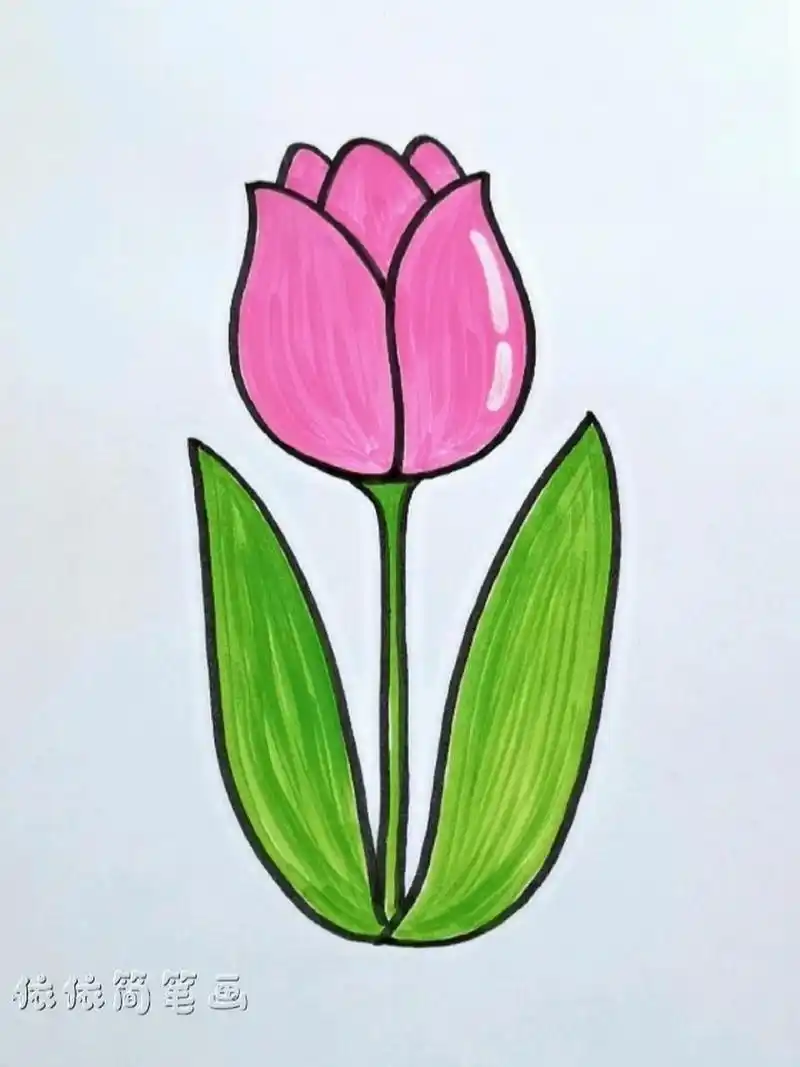 花朵这样画简单又好看