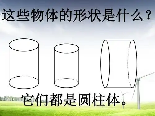 这些物体的形状是什么? 茶 叶 它们都是圆柱体.