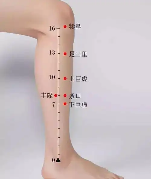 祛痰壬子针灸篇9足阳明胃经之丰隆穴导痰针灸法