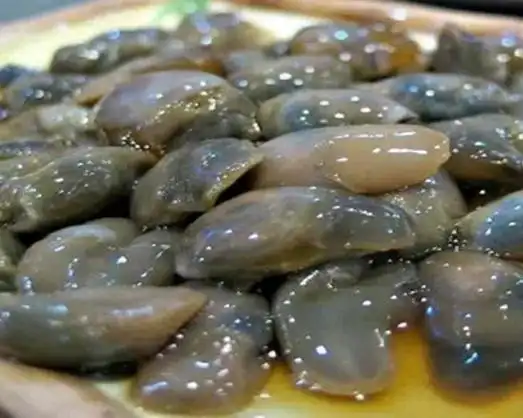 射阳海味特产泥螺:盐城市射阳县特产-射阳醉泥螺,产地宝