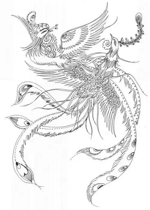 素材丨一组神鸟凤凰白描图谱