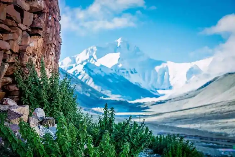 老铁那年我们一起走过川藏线一阿里珠峰及萨普神山