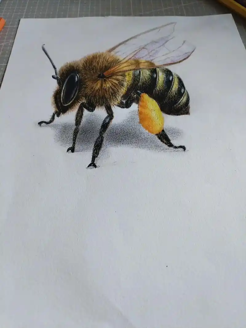飞来一只大蜜蜂#3d立体画 #手绘 #彩铅 @dou 小助手 - 抖音