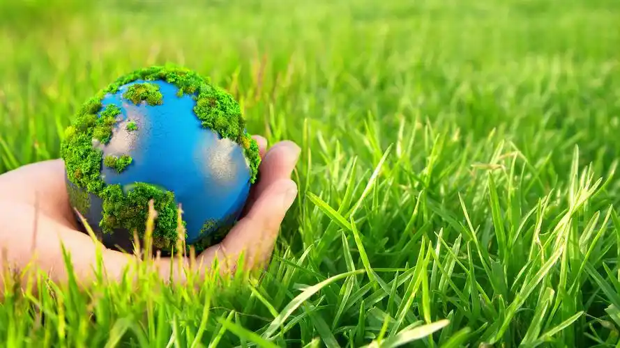 中外经国际工程股份有限公司