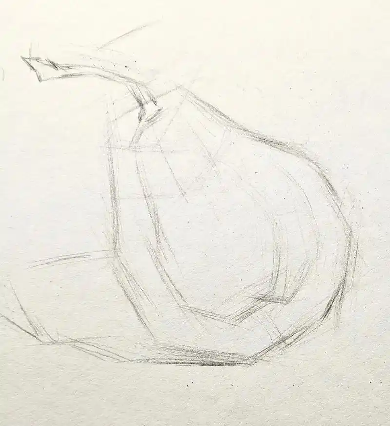 素描静物单个-梨子 示范步骤#画画教程 #零基础学画画 #画 - 抖音