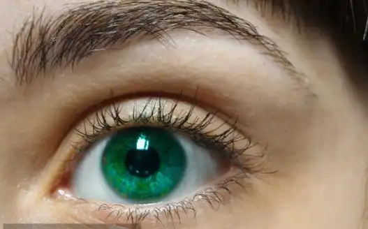 在颜色的瞳孔容易搞混,实际上真正的琥珀色眼睛是极其稀有的,比绿色