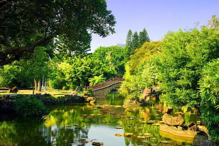 摄影家手札dgphoto - 双溪公园/艺廊