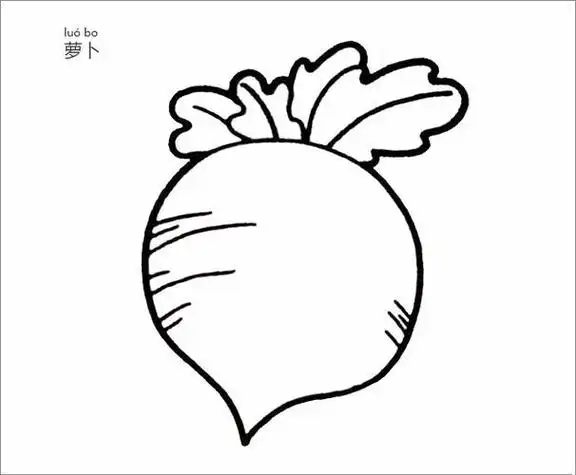 白色水萝卜简笔画 简笔画图片大全-普车都
