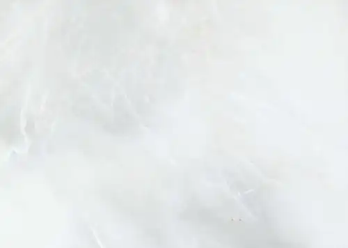 维纳斯白玉_维纳斯白玉玉石图片_维纳斯白玉图片-中国石材网