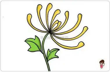 重阳节菊花简笔画教程图片