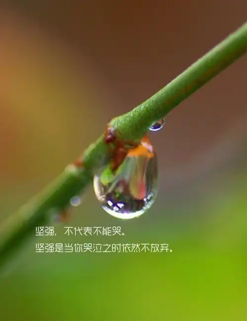 坚强,不代表不能哭.坚强是当你哭泣之时依然不放弃.