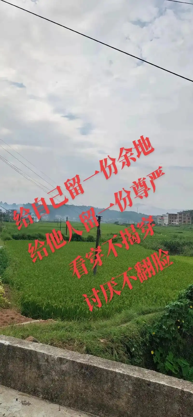 "看清一个人没必要去揭穿,看透一件事没必要去说破,嘴上不说心 - 抖音