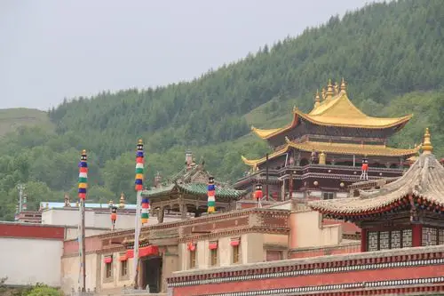 在塔尔寺欣赏到艺术三绝:壁画,堆绣,酥油花.