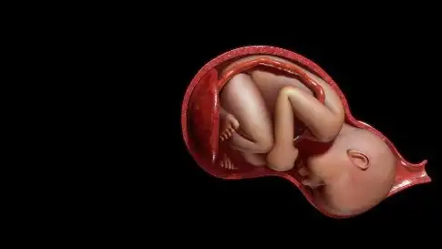 怀孕后哪个月孩子长得最快?_时候_肚子_进行