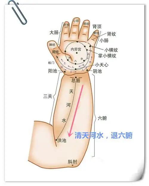 使用方法:用精油交替揉搓双脚涌泉穴,双脚各3-4次.