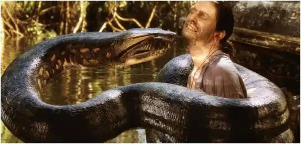 回忆杀,人与兽,那些好看的动物系电影(食人蜥蜴电影) - 冷思维