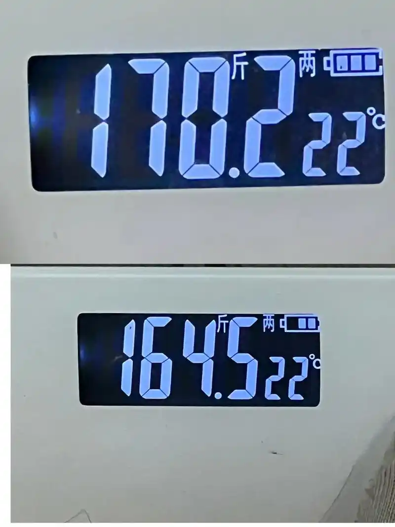 第71566天  原始体重:170.2斤! 今日体重:164.5斤!已减5.7斤!