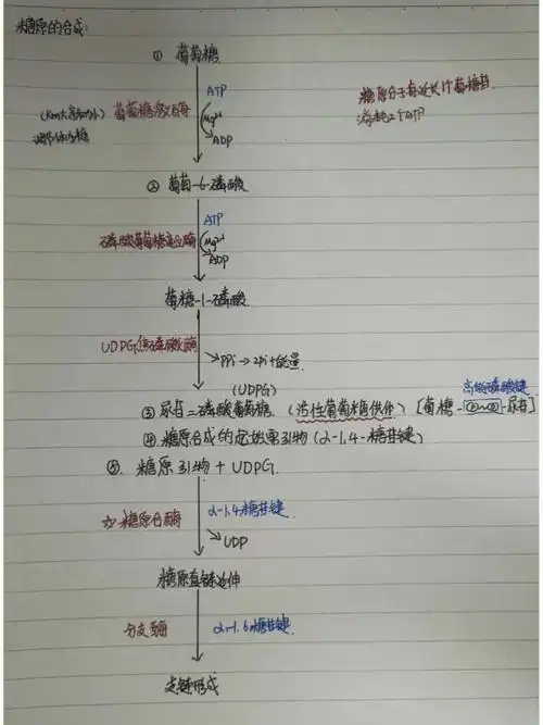 医学生  #思维导图  #生化