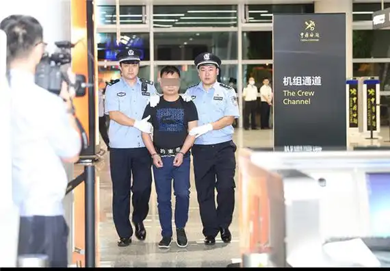 一手机走私案"红通"逃犯被押解回国 - 时刻