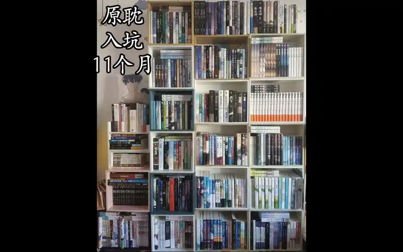 【原耽】入坑11个月 书架整理(主小说实体书)
