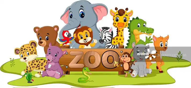 动物园动物的收藏