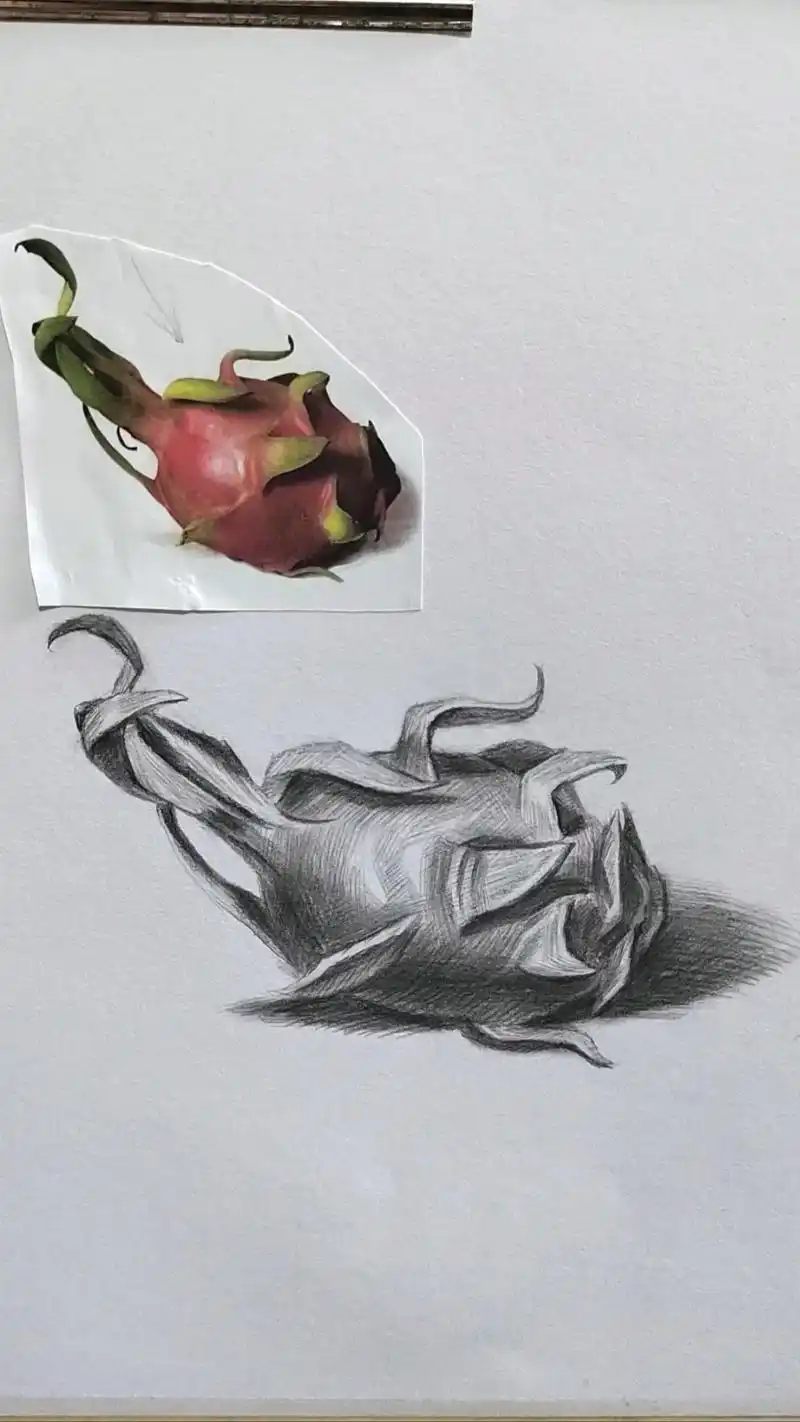 简单易学的素描静物火龙果画法.#画画 #素描 #零基础教学  - 抖音