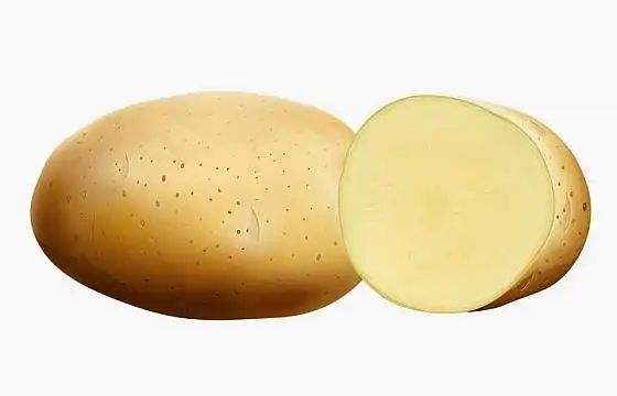 切开的土豆马铃薯美味蔬菜横切面png图片免抠矢量素材