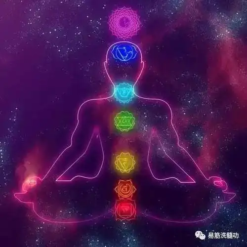 洗髓功洗的是什么