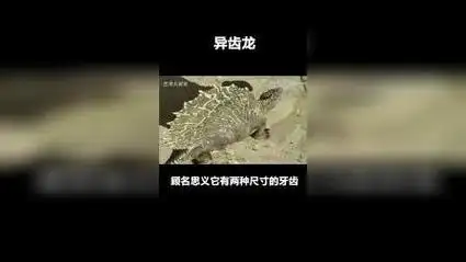 异齿龙也叫长棘龙,生存于2.7-2.95亿年前,是当时的顶级掠食者