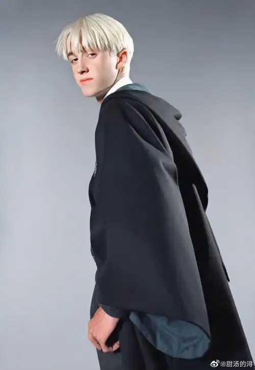 跪求汤姆费尔顿所饰的德拉科马尔福的高清帅照