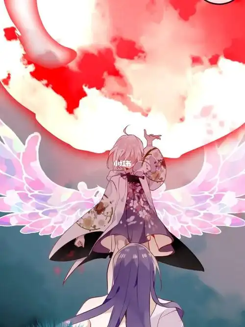 《吾凰在上》赤圆(奚圆)