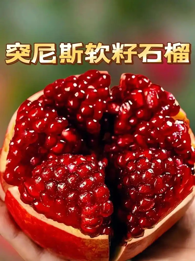 突尼斯软籽石榴