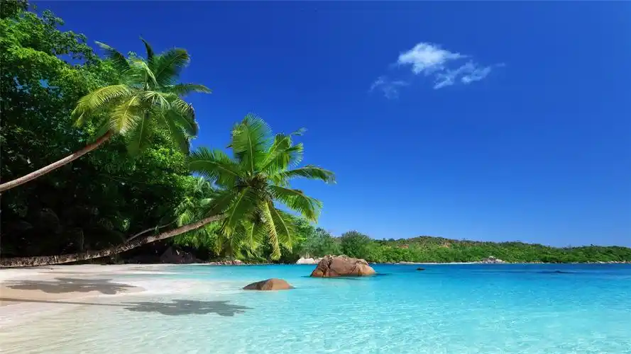 壁纸收藏爱好者,从今天开始将在这里为大家免费分享更多4k高清壁纸