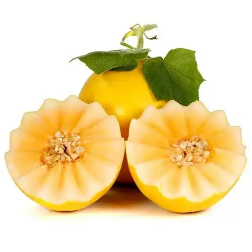 民勤黄河蜜瓜甜瓜5斤水果新鲜当季整箱甘肃黄金哈密瓜香瓜羊角瓜