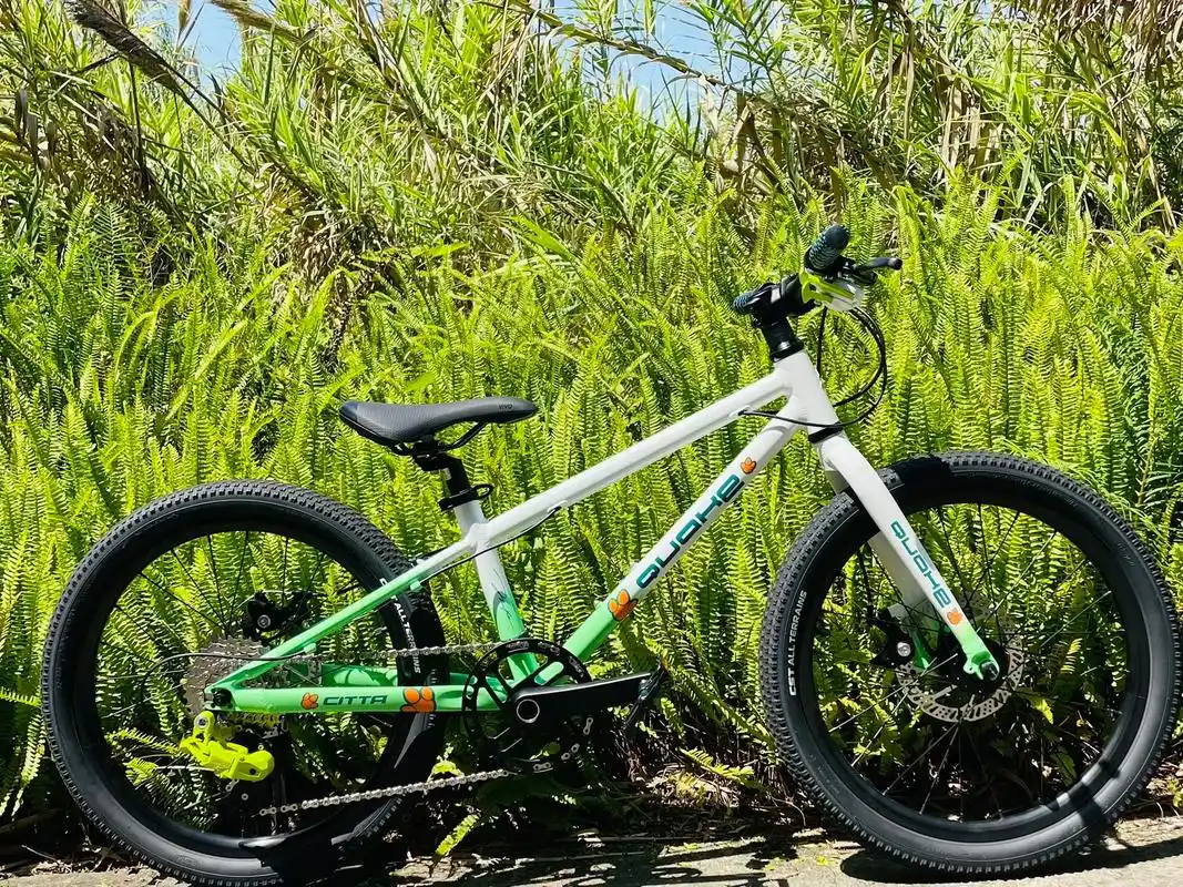 儿童自行车|儿童节,这就是最好的礼物97.自然,户外,简单, - 抖音